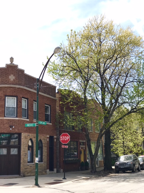 Property thumbnail image